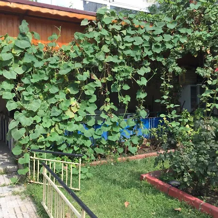 Beuatiful Home Near Of Sea Daire